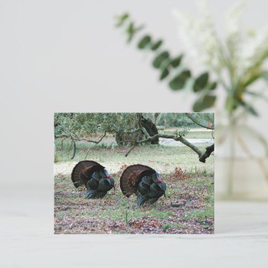 Thanksgiving Dag Wilde Kalkoenen in een open veld Feestdagenkaart (Staand voorkant)