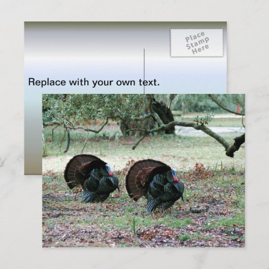 Thanksgiving Dag Wilde Kalkoenen in een open veld Feestdagenkaart (Voorkant / Achterkant)