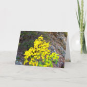 Thanksgiving en Herfst Kaart 4 (Voorkant)