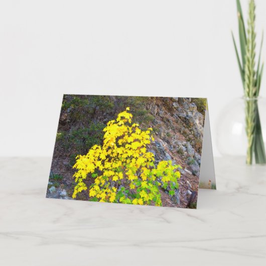 Thanksgiving en Herfst Kaart 4 (Voorkant)