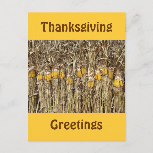Thanksgiving Gedroogde corn Stalk Decoraties Feestdagenkaart (Voorkant)