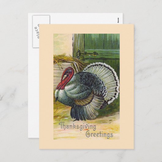 "Thanksgiving Groeten"  Briefkaart (Voorkant / Achterkant)