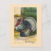 "Thanksgiving Groeten"  Briefkaart (Voorkant)