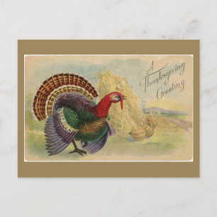 Thanksgiving Groeten Turkije Briefkaart