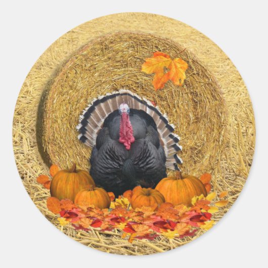 Thanksgiving Harvest Classic Round Sticker (Voorkant)
