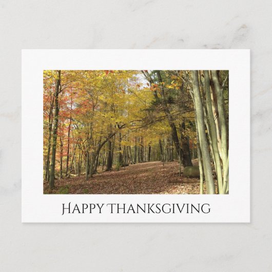 Thanksgiving Herfst Foliage Photo Holiday Briefkaart (Voorkant)