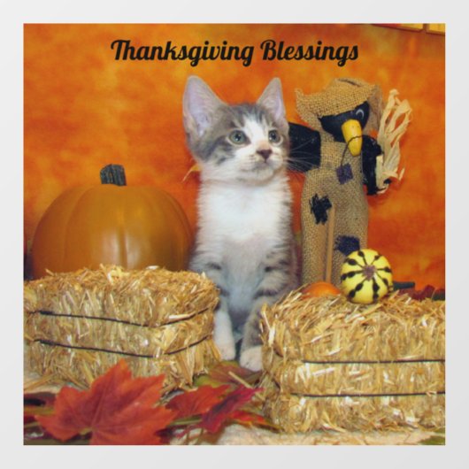 Thanksgiving/Herfst van varkenskarper - Katten/Kit Raamsticker (Vel)