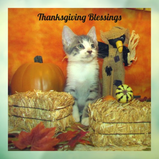 Thanksgiving/Herfst van varkenskarper - Katten/Kit Raamsticker (Vel 3)