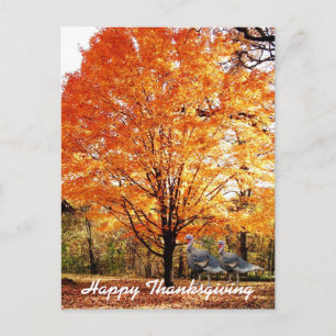 Thanksgiving Herfstboom met wilde kalkoen  Feestdagenkaart