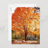 Thanksgiving herfstboom met wilde Turkije Feestdagenkaart (Voorkant / Achterkant)