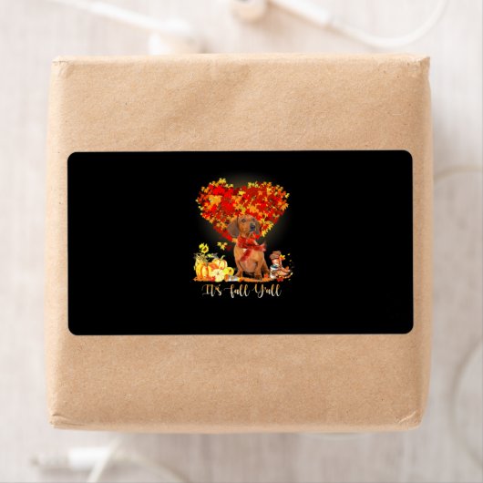 Thanksgiving Het is Herfst Y'all Dachshund Etiket (Insitu)