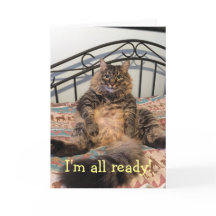 Thanksgiving Hongerige Kat Thanksgiving Kaart