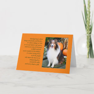 Thanksgiving is...Sheltie Card Feestdagen Kaart