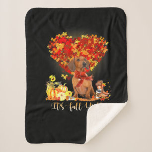 Thanksgiving It's Fall Y'all Dachshund Sherpa Deken