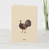 Thanksgiving Joy: een familiefeest (Achterkant)