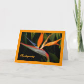 Thanksgiving Kaart met vogel van het paradijs (Voorkant)