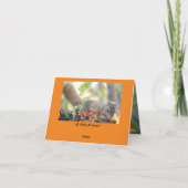 Thanksgiving kaart Mr. Bickles De Eekhoorn 5 x7" (Achterkant)