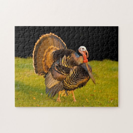 Thanksgiving kalkoen legpuzzel (Horizontaal)