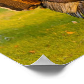 Thanksgiving kalkoen poster (Hoek)