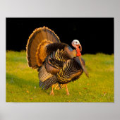 Thanksgiving kalkoen poster (Voorkant)