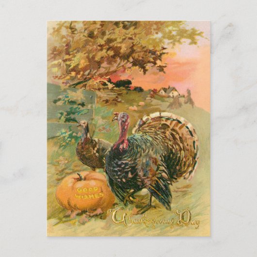  Thanksgiving kalkoenen en pompoen Feestdagenkaart (Voorkant)