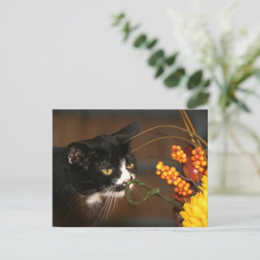 Thanksgiving kat feestdagenkaart (Staand voorkant)