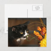 Thanksgiving kat feestdagenkaart (Voorkant / Achterkant)