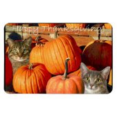 Thanksgiving katten en pompoenen magneet (Horizontaal)