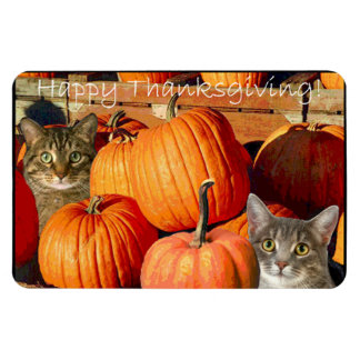 Thanksgiving katten en pompoenen magneet