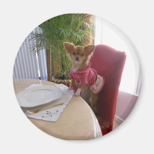 Thanksgiving met chi magnet