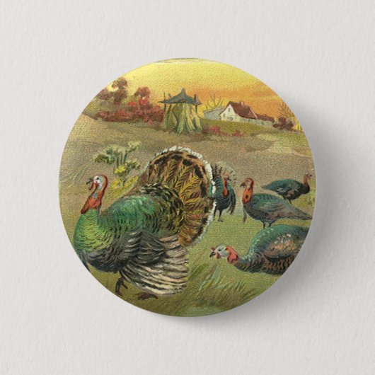 Thanksgiving met kalkoenen en pelgrims Ronde Button 5,7 Cm (Voorkant)