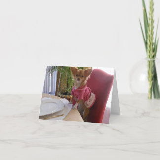 Thanksgiving met schattige chihuahua feestdagen kaart