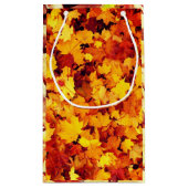 Thanksgiving najaar klein cadeauzakje (Achterkant)