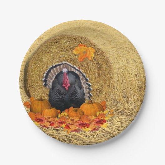 Thanksgiving oogst Bord (Voorkant)