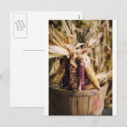 Thanksgiving oogst maïs feestdagenkaart (Voorkant / Achterkant)