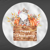 Thanksgiving Oranje pompoenen Cat Floral