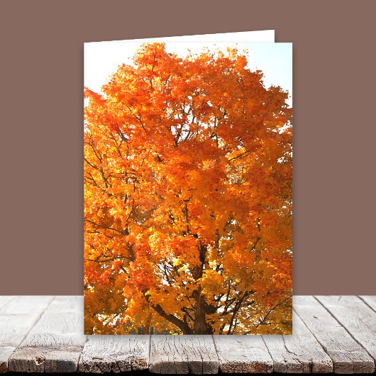 Thanksgiving Over de Miles Kaarten