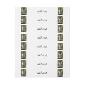 Thanksgiving Pilgrim Cat (Vel)