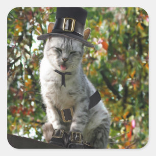 Thanksgiving Pilgrim Cat Vierkante Sticker