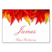 Thanksgiving plaatst kaarten met valkleppen (Voorkant)