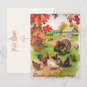Thanksgiving platteland Groeten Briefkaart (Voorkant / Achterkant)