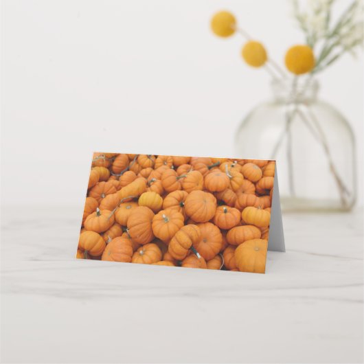 Thanksgiving pompoenen plaatskaartje (Achterkant)