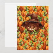 THANKSGIVING POMPOENEN SCHATTIGEE KAT KAART (Voorkant / Achterkant)