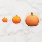 Thanksgiving Pompoenen Tafelconfetti Confetti (Voorkanten)