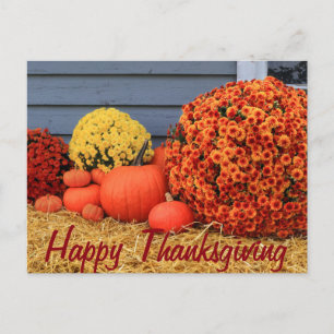 Thanksgiving Post Card Feestdagenkaart