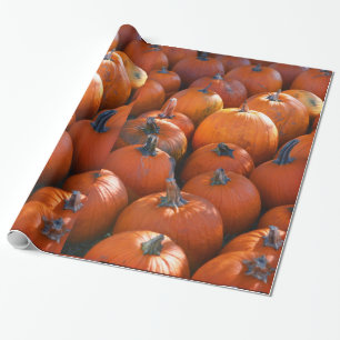 Thanksgiving Pumpkin Patch Cadeaupapier