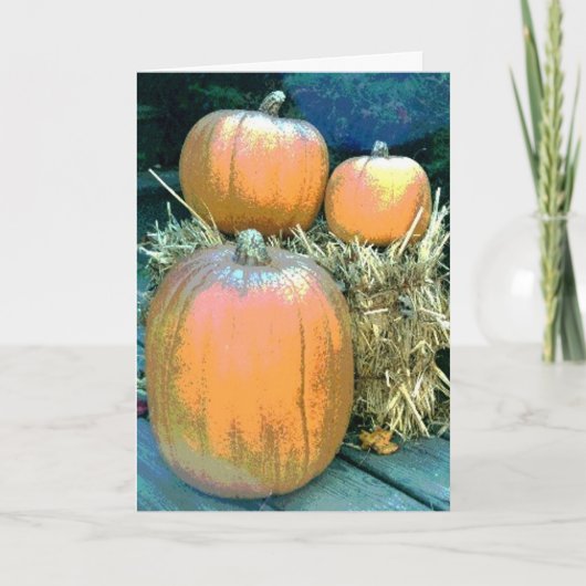 Thanksgiving Pumpkins Feestdagen Kaart (Voorkant)