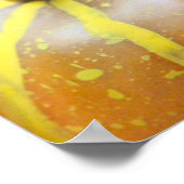 Thanksgiving Pumpkins Poster (Hoek)