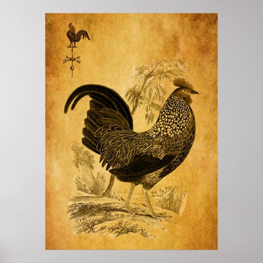 Thanksgiving Rooster Poster (Voorkant)