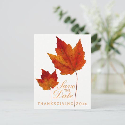 Thanksgiving Save the Date Maple Leaf Briefkaart (Staand voorkant)